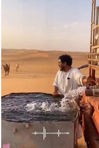 Why do you need to put a basin of water in the desert?#Foryou #didyouknow #fyp #knowledge #tiktok