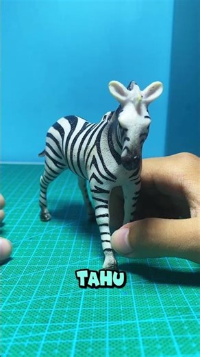 Amazing ZEBRA 🦓🦓⚡️