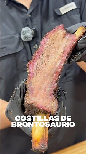 Smoking brontosaurus ribs 🍖