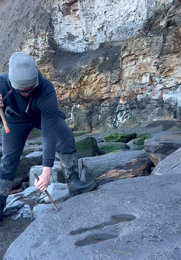 Jurassic Shells Found in Massive Fossil‑Rich Landslide