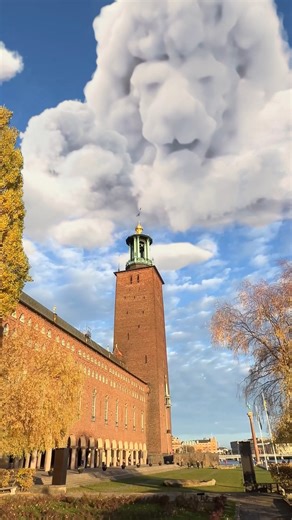With the #1 movie in the world, Cloud Mufasa embraces his role as a true world ambassador during his visit to Stockholm City Hall 🇸🇪 #Mufasa: The Lion King is now playing only in theaters! Get tickets now. | Walt Disney Studios