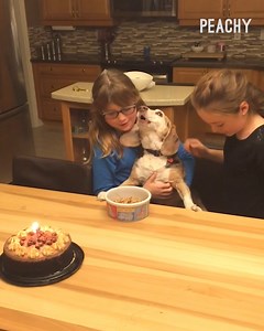 30K views · 196 reactions | If you need a good laugh, this compilation of birthday party mishaps will do the trick!  | Peachy | Facebook