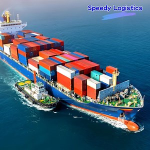 [Hot Item] Sea Freight Forwarder to India, Morocco, Ghana, France Sea Logistics Shipping Agent