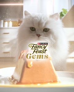 An exquisite mousse paté crowned with savory gravy. Turn the everyday into the extraordinary with two entrées in every pack. | Purina Fancy Feast