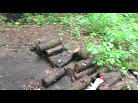 Primitive Campsite along The Appalachian Trail (Smoky Mountains)