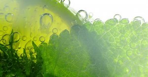 Sparkling Bubbles Water Slice Lime 4k: стоковое видео (без лицензионных платежей), 20330695 | Shutterstock