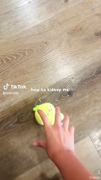 Anirollz on TikTok