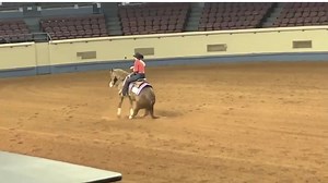 Good luck to Hannah Hardy riding Hot Chex N Guns in the upcoming NRHA Non Pro Derby, draw 18! #CINCHteam #cinch #cinchjeans #ShortysHattery #RodPatrickBootMakers #TributeEquineNutrition #ClassicEquine #KyleZanettiTrailers #GoldenWestSaddleBlankets #UltraCruzEquine #ScottsdaleWesternWorld #BoehringerIngelheimAnimalHealth #QueenHorseBedding #JesusSaves #DearyPerformanceHorses | Deary Performance Horses