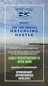 Turtle Island Restoration Network is hosting our 2nd annual 5k Run...