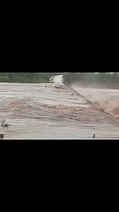 12K views · 142 reactions | This is what it looks like in Kruger National Park, stay safe everyone. #krugernationalpark #reel #floods #rain #danger | Shaun Etsebeth Photo Safaris | Facebook