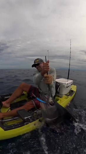 Chasing the big one and living the dream! 🎣💙 #CatchOfTheDay #FishingLife #CatchOfTheDay #GoneFishing #FishingAddict #TightLines #FishingAdventure #HookedOnFishing #BigCatch #FishingVibes #AnglerLife #FreshwaterFishing #SaltwaterFishing #FishingFun #ReelLife #FishingCommunity #CatchAndRelease #FishingGear #BassFishing #FishingLovers #FishOn | Hawaii Fishing