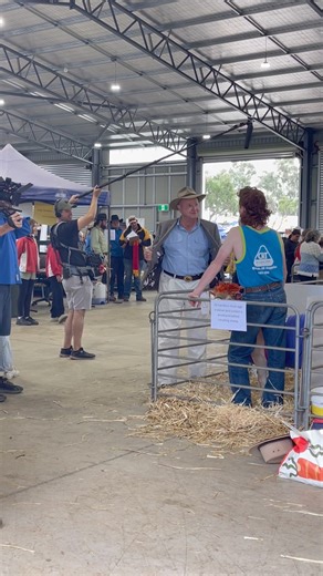 16K views · 207 reactions | Down in the Hawkesbury Pavilion, Dr Harry is getting ready for the Pet Sheep & Goat Show! Come on down to catch the highly anticipated Fancy Dress class!   | Hawkesbury Show | Facebook