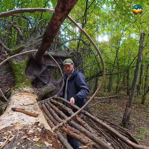 Building a warm and cozy hollow for survival in the root of a fallen spruce.#bushcraft #adventure #outdoors #survival #camping #cabinlife #cabincrew #wilderness #logcabin | Wilderness Skills
