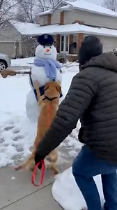 33K views · 39 reactions | Dog knocks over postman snowman 﫣 | Four Nine | Facebook