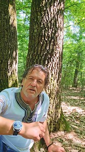 Pune, Doamne, ochiul tău de Mihaela Moisescu | Omul oamenilor