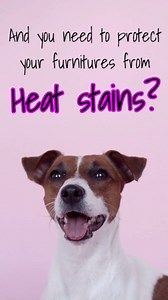 FINNERO Halla Soft Dog Booties, Warm Dog Shoes with Non-Slip Sole, Adjustable Straps for Extra Small Dogs, Durable Winter Paw Protectors, 4Pcs/Pack, (XS, Gray)