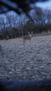 39K views · 473 reactions | Misses happen. Some are more painful than others! #CarbonExpress #Gomez #TheCrush | Carbon Express Arrows | Facebook