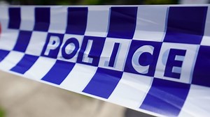 Alleged thief remanded in custody after early morning arrest