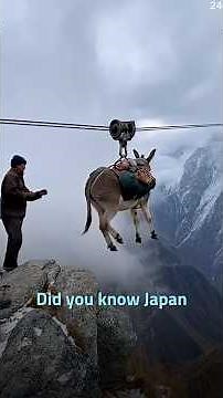 😱 Japan Is 100 Years Ahead of the World — Here’s the Proof!