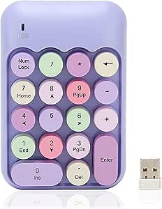 Estink 2.4Ghz Numeric Keypad, 18 Keys Mini Numeric Keypad, Vintage Color Keyboard and Round Keycaps, with USB Receiver for PC, Desktop and Laptop (Theme)