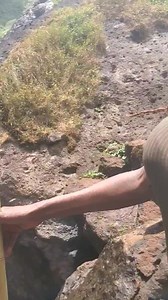 Jolies...chutes Mont Elgon. Ouganda Le mois dernier | Philippe Frey / Nomades du monde