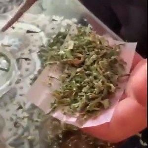 Stoner fails 🤣🤣🤣 | 420Live