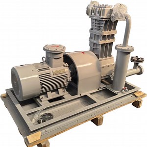 [Hot Item] Z-Type Reciprocating Piston Process Oil Free Air Compressor Petrochemical Field API618