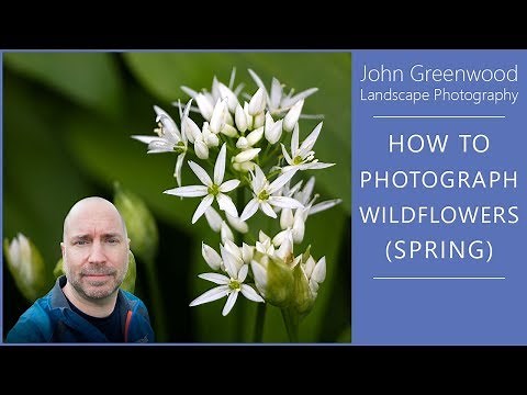 How to photograph Wildflowers | Flower Photography