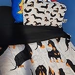 Comforter Set Twin Size, Zebra Stripe Animal 5 Pcs Bedding for Kids and Adults, Black White Bed Sheet Sets with Fitted Sheet Pillowcase & Sham for Bedroom Bed Decor