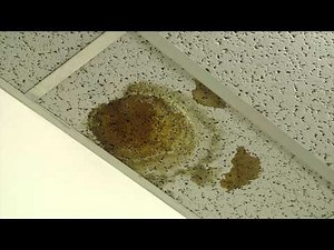 University of Alberta: Mould Awareness