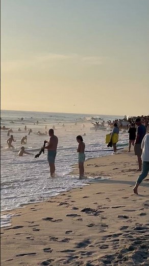 Surfer Flash Mob At Slamarack 2025