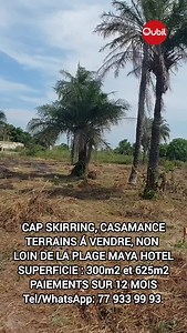 Terrain à vendre – Cap Skirring À seulement 5 minutes de la plage du Maya Hotel ! Deux magnifiques terrains sont disponibles : 🌿 300 m² 🌴 625 m² Idéalement situés dans un environnement calme, naturel et verdoyant, ces terrains bénéficient d’une superbe végétation avec de beaux palmiers. Parfaits pour un projet de résidence, de location touristique ou un investissement à long terme. 👉 Opportunité rare dans une zone en plein développement ! N'hésitez pas à me contacter pour plus d'informations 