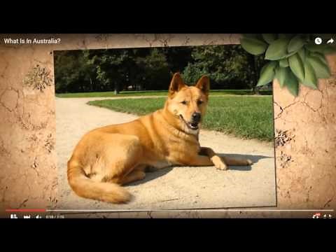 Virtual Field Trip to Australia