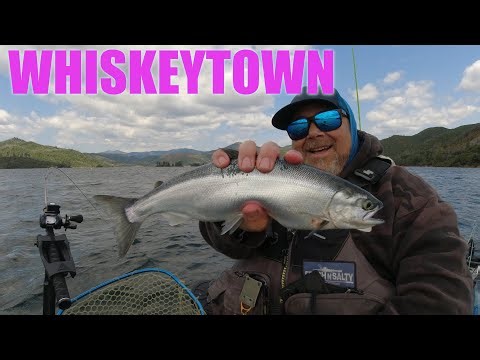 Whiskeytown Lake Kokanee fishing