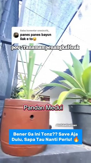 Bener Ga Ini Tonz?? Save Aja Dulu, Sapa Tau Nanti Perlu! 🔥 Sr. Wayan Bagix | Info Bali Netizen