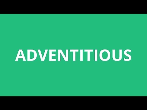 How To Pronounce Adventitious - Pronunciation Academy
