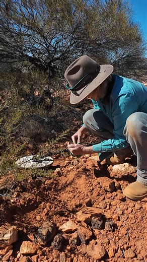 One gold nugget after the other - this place is unreal!! #goldnuggets #metaldetecting #prospecting | Outback Gold Fever
