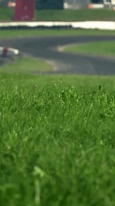 Herbe verte sur fond titre de : vidéo de stock (100 % libre de droit) 3899552927 | Shutterstock