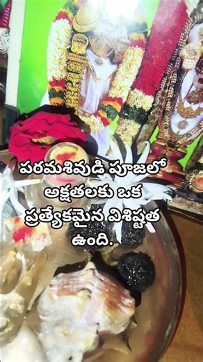The Special Significance of Akshatas in the Worship of Lord Shiva #OmNamahShivaya #Mahadev #devot...