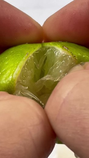 6.7K views · 81 reactions | I Traded 3D Printed Pottery Tools for a Handmade Plant Pot, (and a Lime Seed Update) | Growithjessie | Facebook