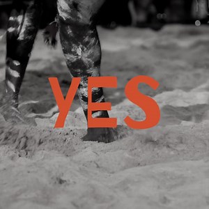 21 reactions · 12 shares | The Darwin Aboriginal Art Fair Foundation...