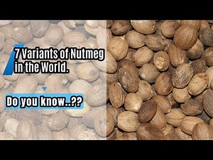 7 Variants of nutmeg in the world.