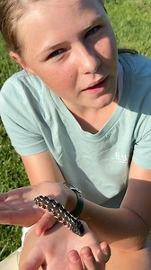 24K views · 2.7K reactions | Today I found this caterpillar migrating across the garden - I love the life cycle of butterflies and moths! 曆 | Brooke.Carter | Facebook