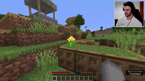 Minecraft, but Item Drops Are Random and Multiplied