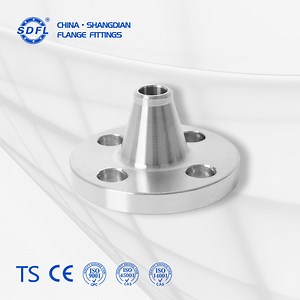 [Hot Item] ANSI B16.47 Nps 26" Class 300 ASTM A182 F316/F316L FF Butt Weld Flange Stainless Steel Flange