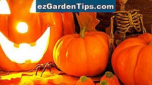 Cómo utilizar Ferti-Lome Weed Out en un pulverizador de manguera 🌱 Tips Jardineros - Es.ezGardenTips.com