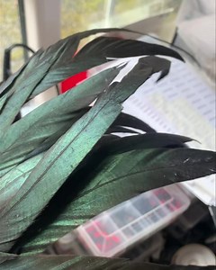1.6K views · 14 reactions | Rooster tails £5.99 limited number ideal for wings and predator tails £5.99 a set. Different colours available. | Irish Fly Supplies Ltd | Facebook