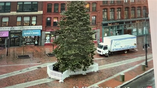 🌬💦 The Portland Downtown tree is dancing today! Check it out on the live tree cam, hosted by PPL! https://youtu.be/nhPeyyYf76I | Portland Public Library