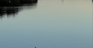 Video by Kate Branch on Pexels