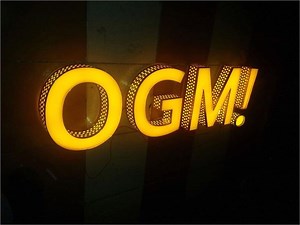 [Hot Item] Customizable Acrylic Channel Letters for Outdoor Illuminated Signs